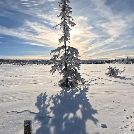 Stunning In With Sauna * Sjusjoen