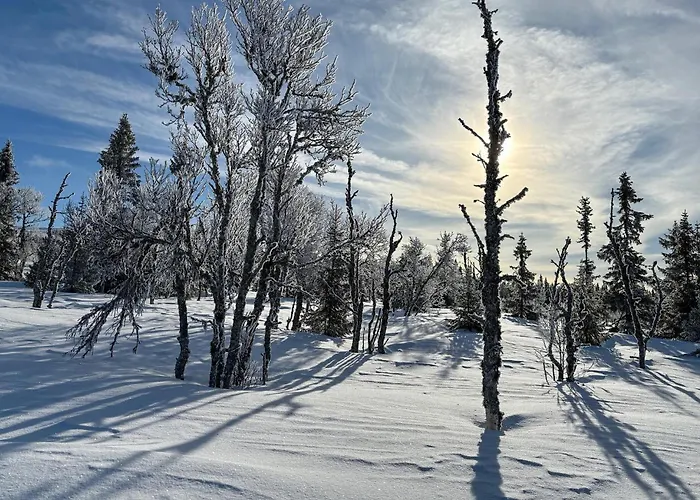 Stunning In With Sauna Sjusjoen