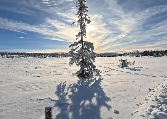 Stunning In With Sauna * Sjusjoen